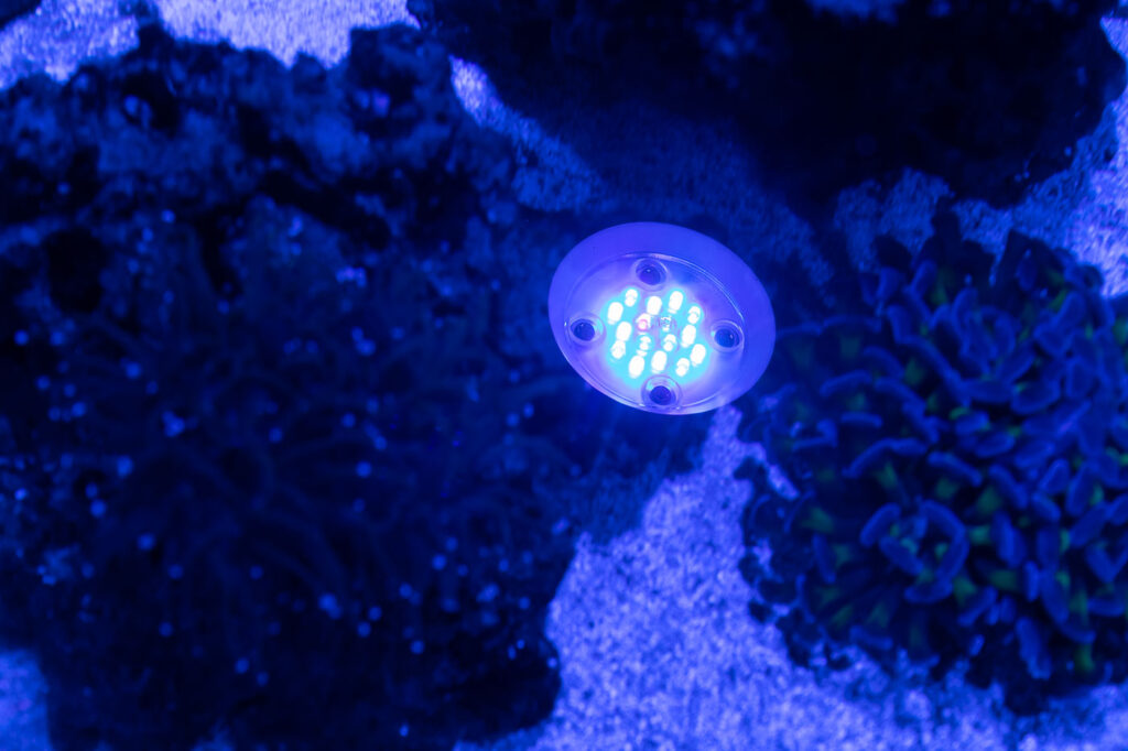 Arri-Prime Lenses AI Prime 16 HD - LED Reef Light (Black) - Aqua